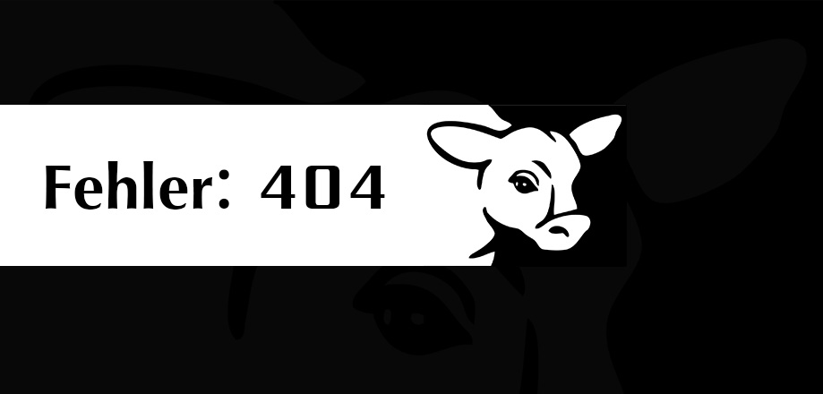 Error-Image 404